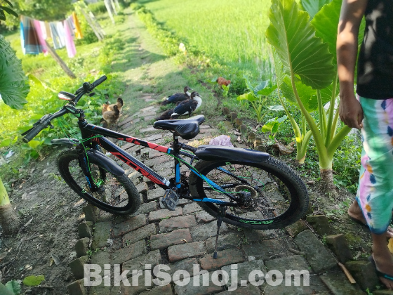 ছাইকেল